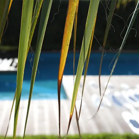 Apartmán 2-room Near With 2 Pools - Luna